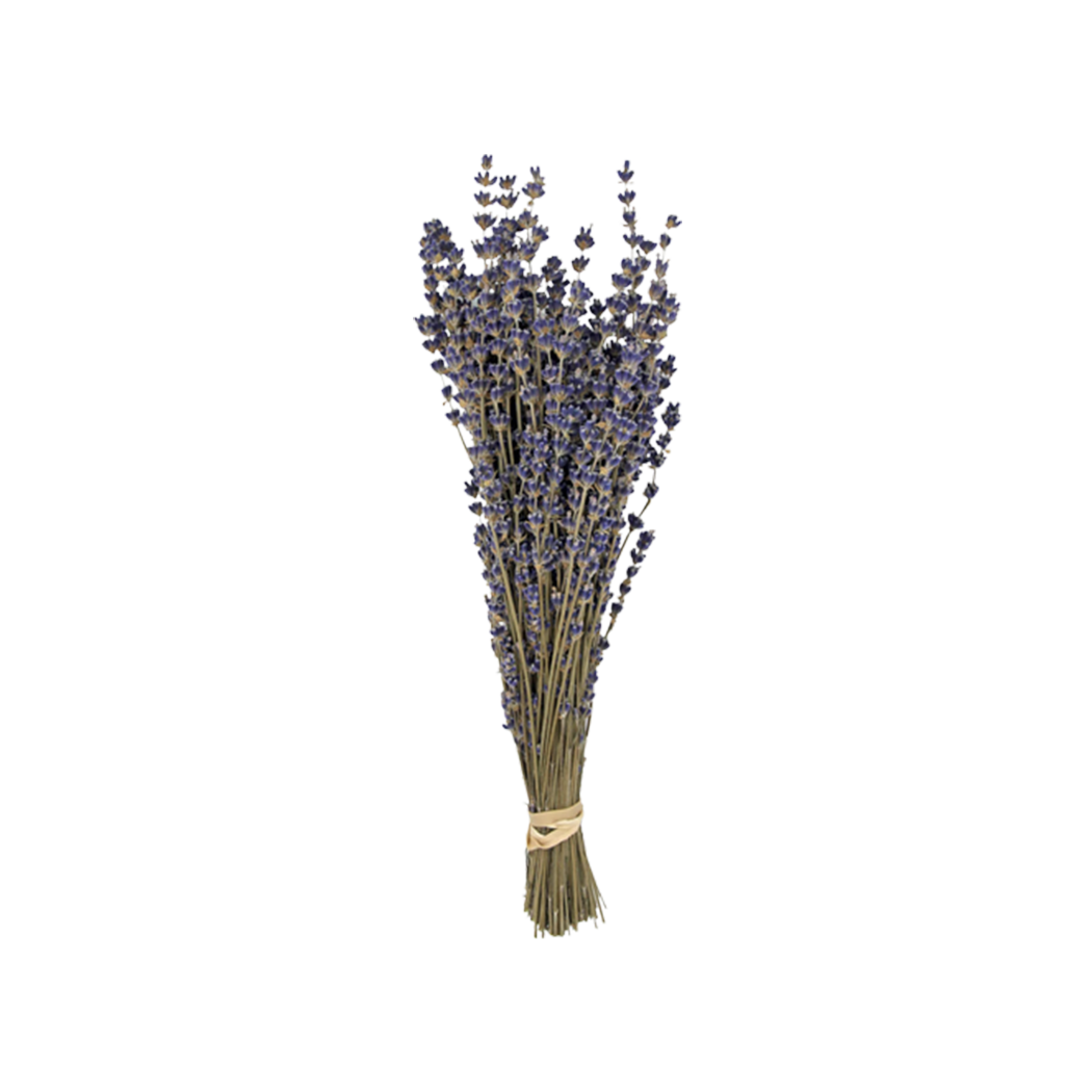 Lavender Preserved Bouquet