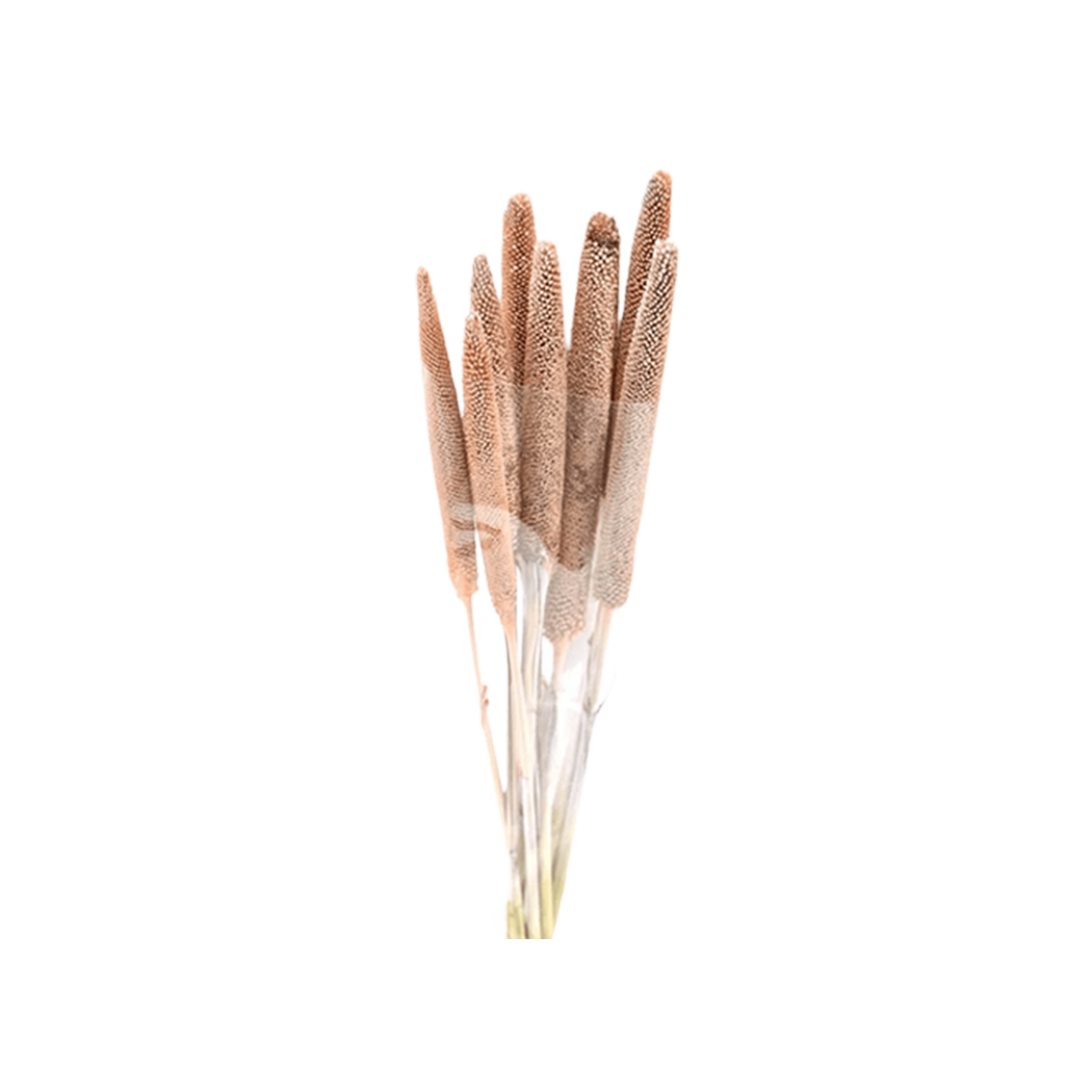 Babala Preserved Bouquet