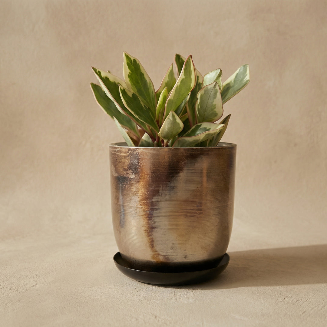 Jo Artisan Patina Brushed Metal Planter