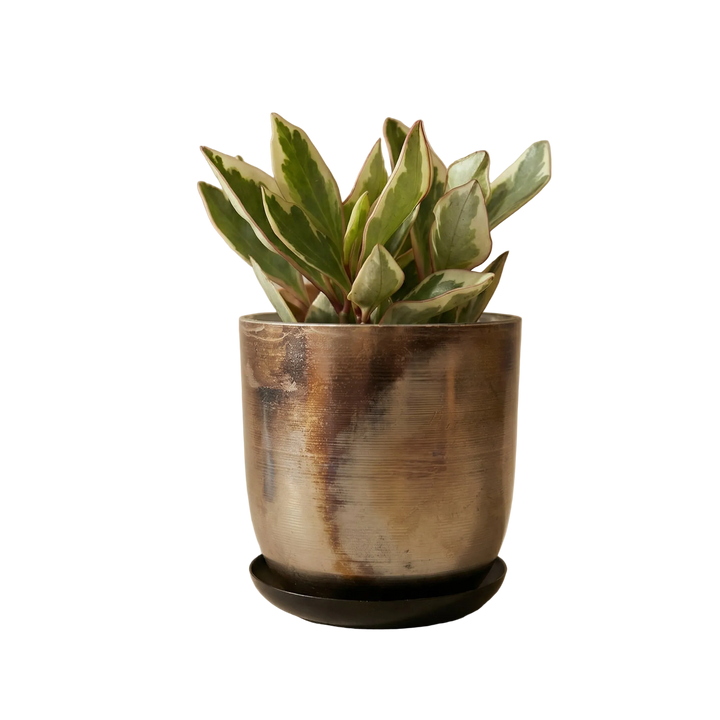 Jo Artisan Patina Brushed Metal Planter
