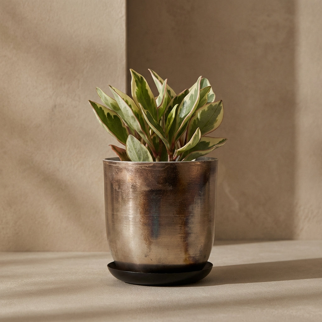 Jo Artisan Patina Brushed Metal Planter