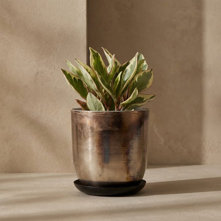 Jo Artisan Patina Brushed Metal Planter