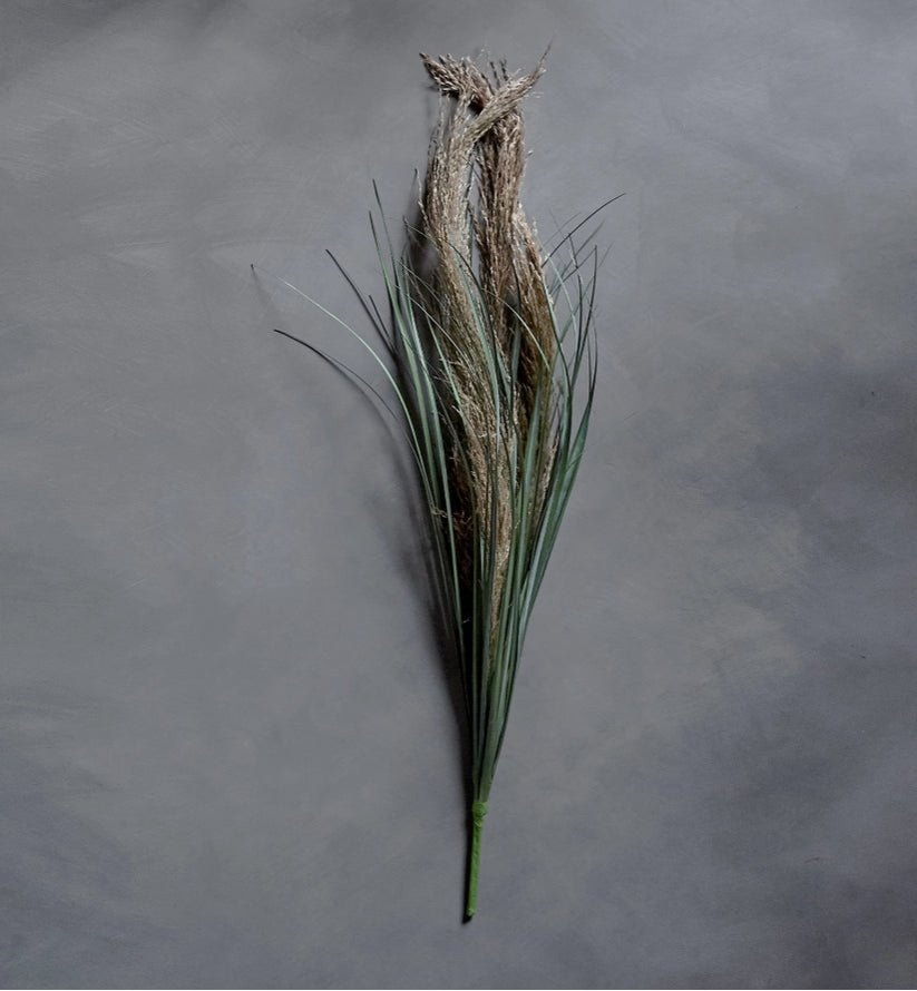 Wild Pampas Grass Stem