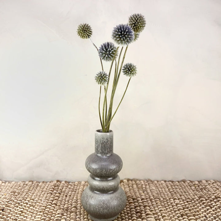 Dried Blue Globe Thistles