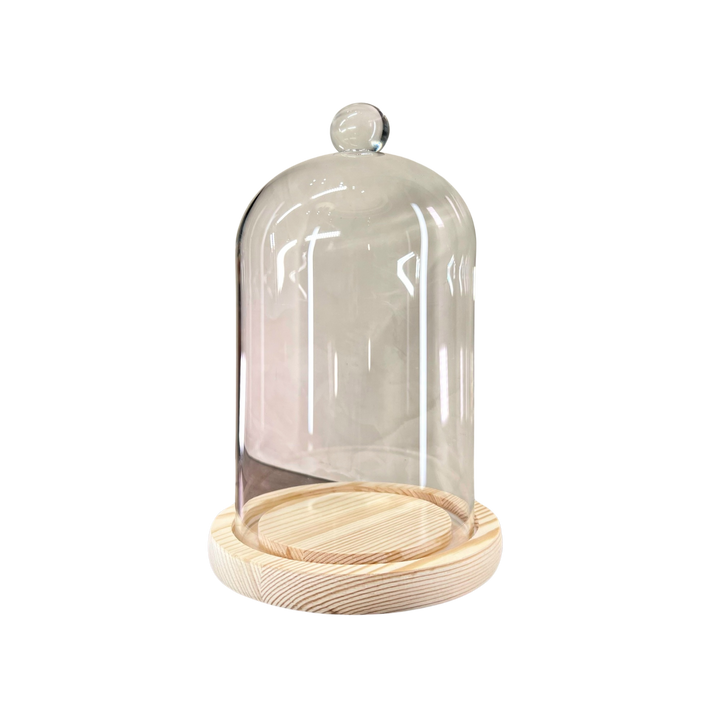 Cloche Glass Bell