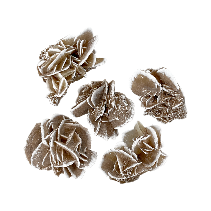 Desert Rose Selenite Cluster