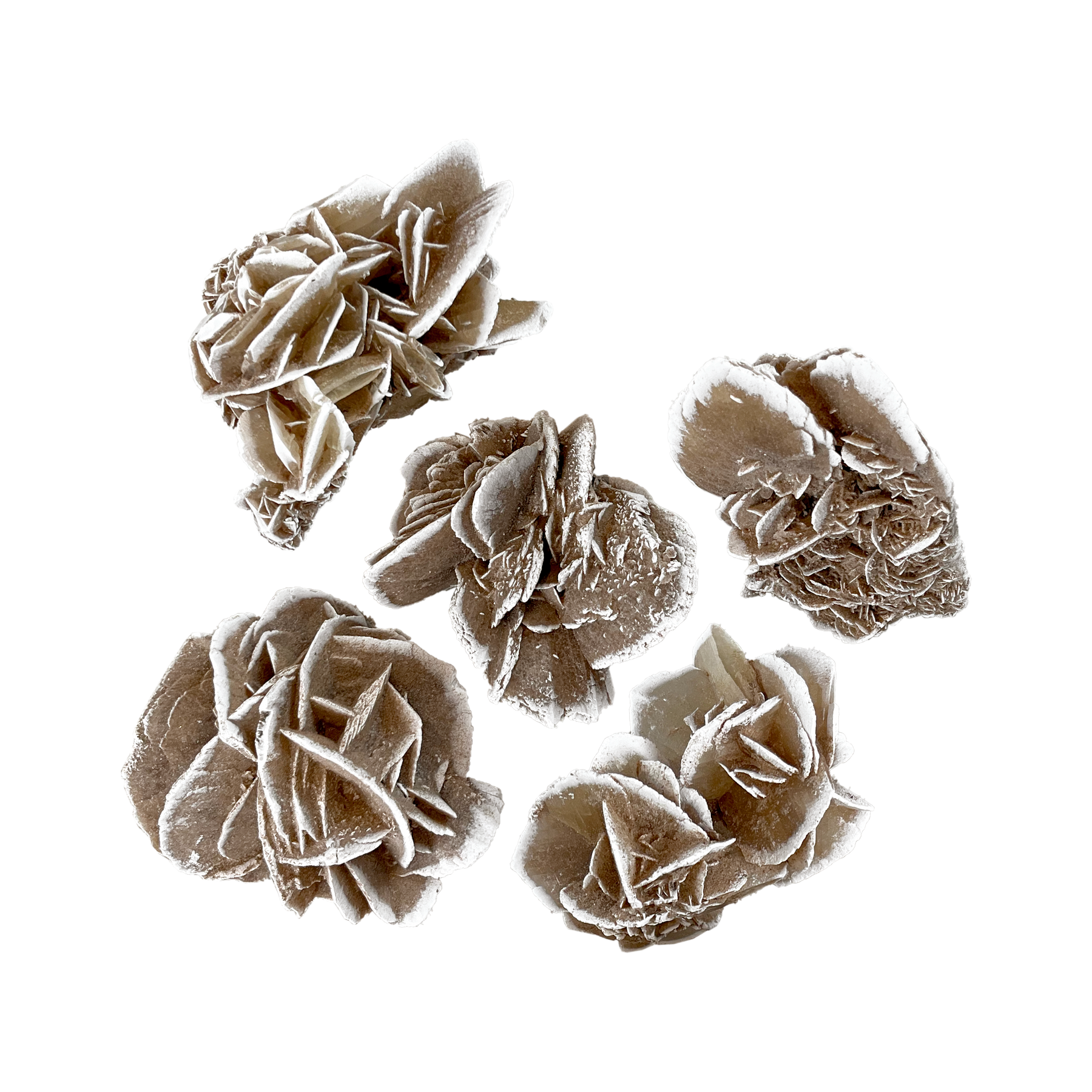 Desert Rose Selenite Cluster - Small – Source by Studio Skara Desert Rose Selenite Cluster - Small – Source by Studio Skara