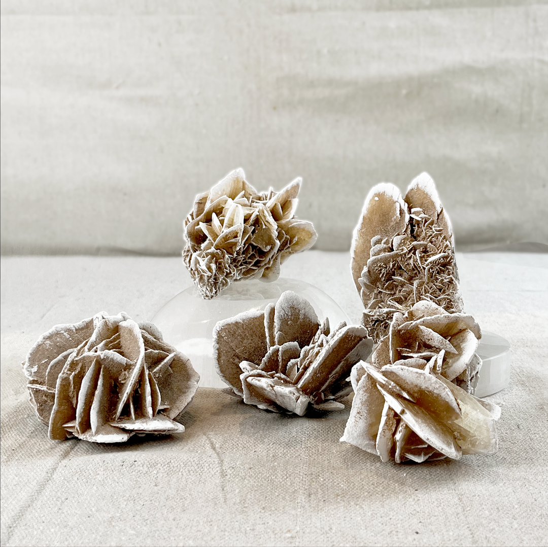 Desert Rose Selenite Cluster