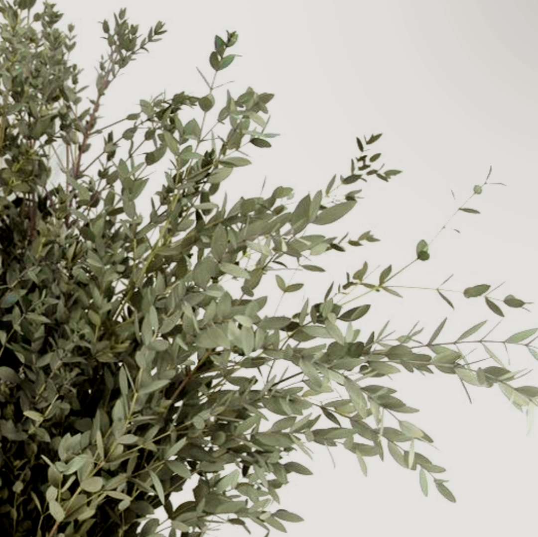 Eucalyptus Leaf Preserved Bouquet