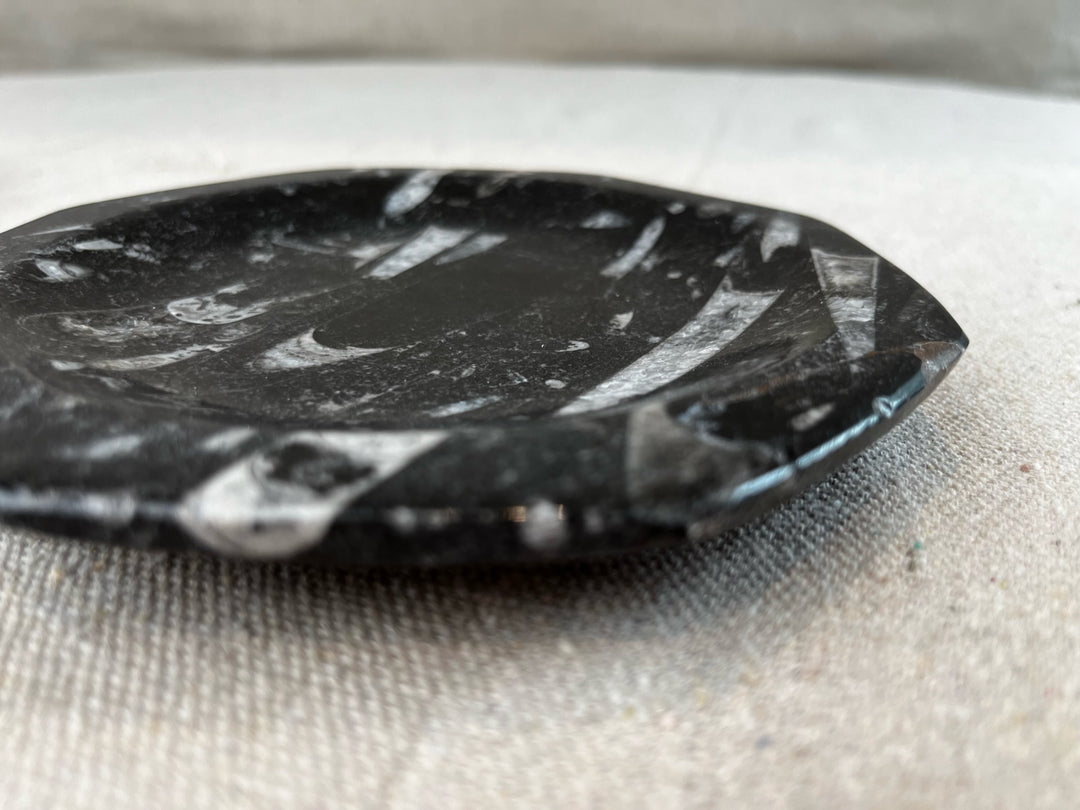 Fossil Stone Dish