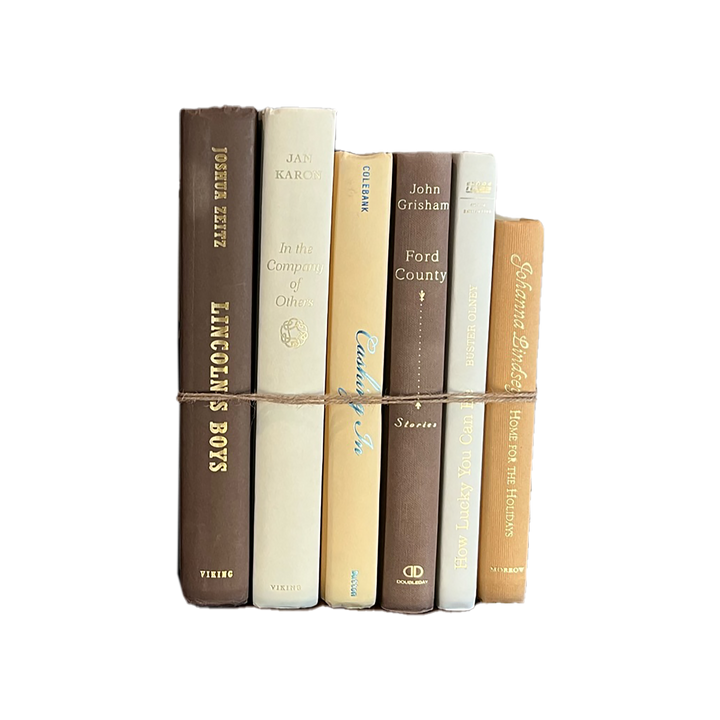 Modern Book Bundle by Color