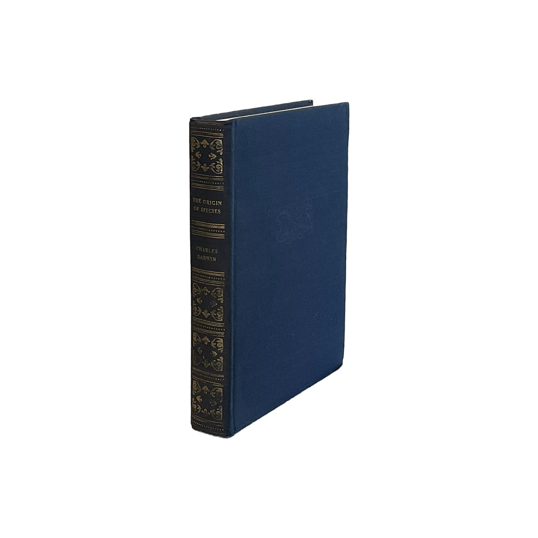 Vintage & Antique Books - Blue