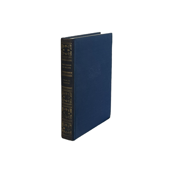 Vintage & Antique Books - Blue