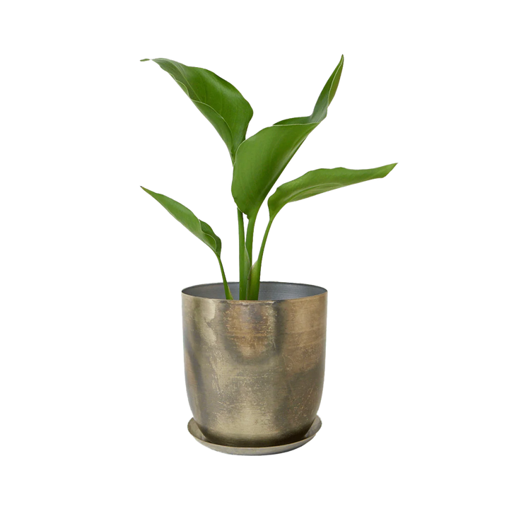 Jo Metal Planter With Drainage Hole