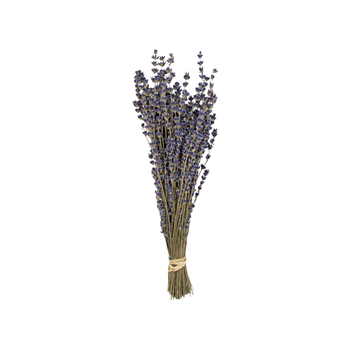 Lavender Preserved Bouquet