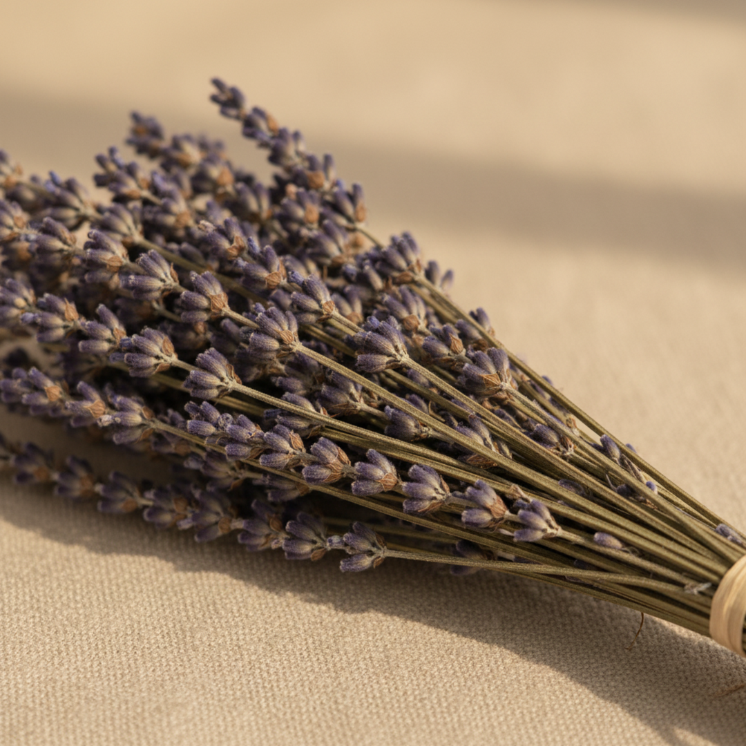 Lavender bouquet close-up detail