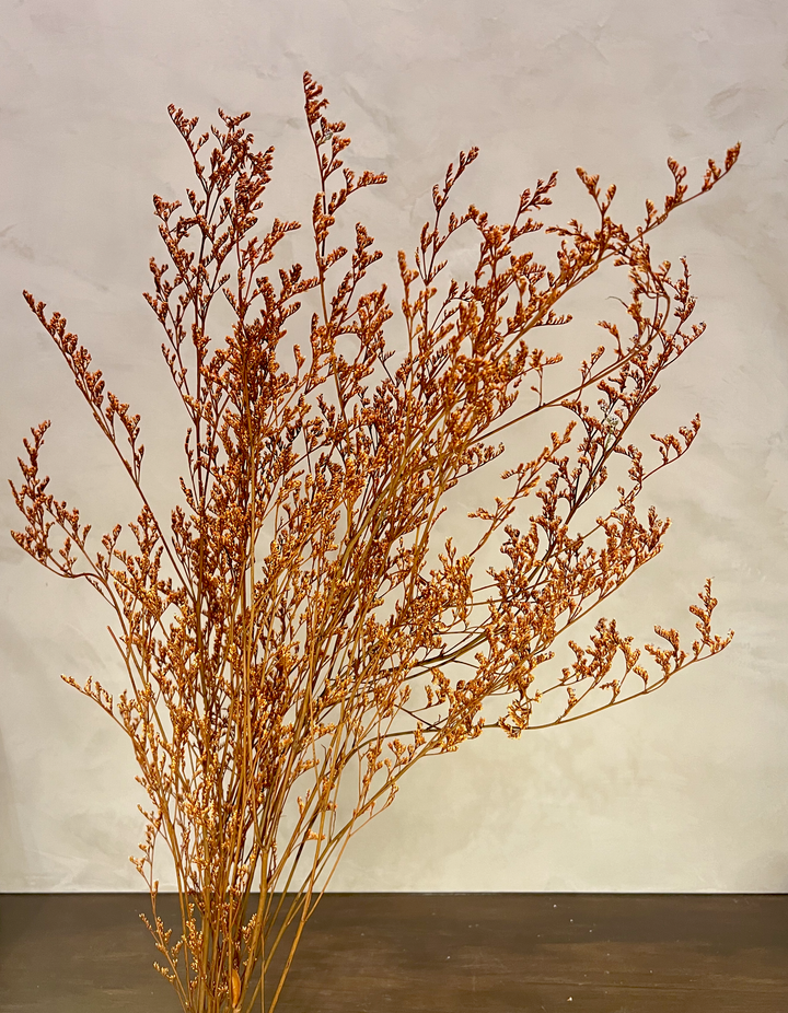 Preserved Limonium Caspia Flowers - Terracotta Orange