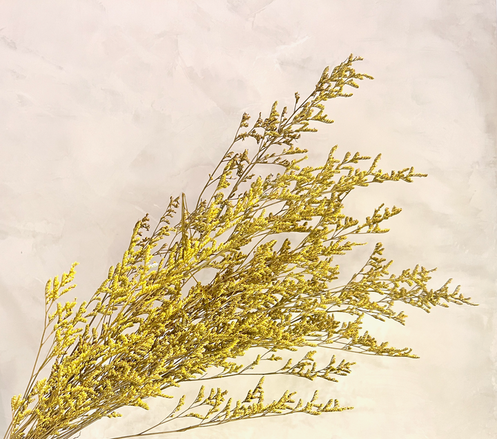 Preserved Limonium Caspia Flowers - Yellow