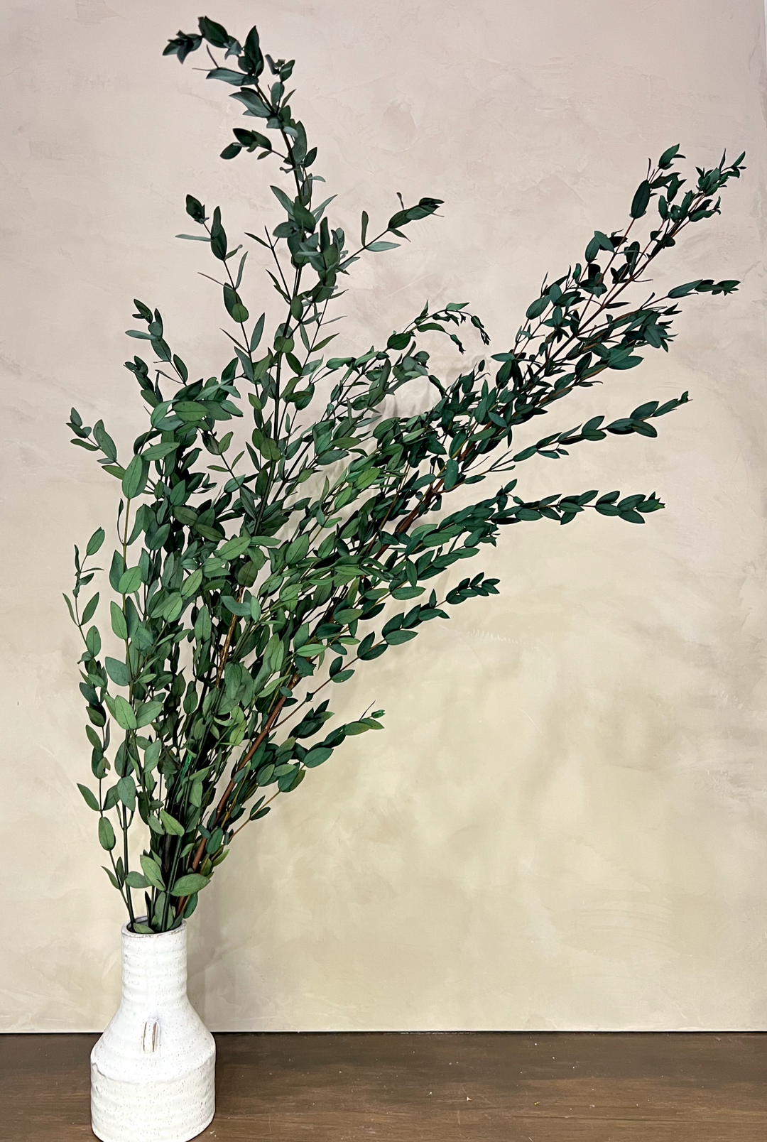 Preserved Parvifolia Eucalyptus - Dark Green