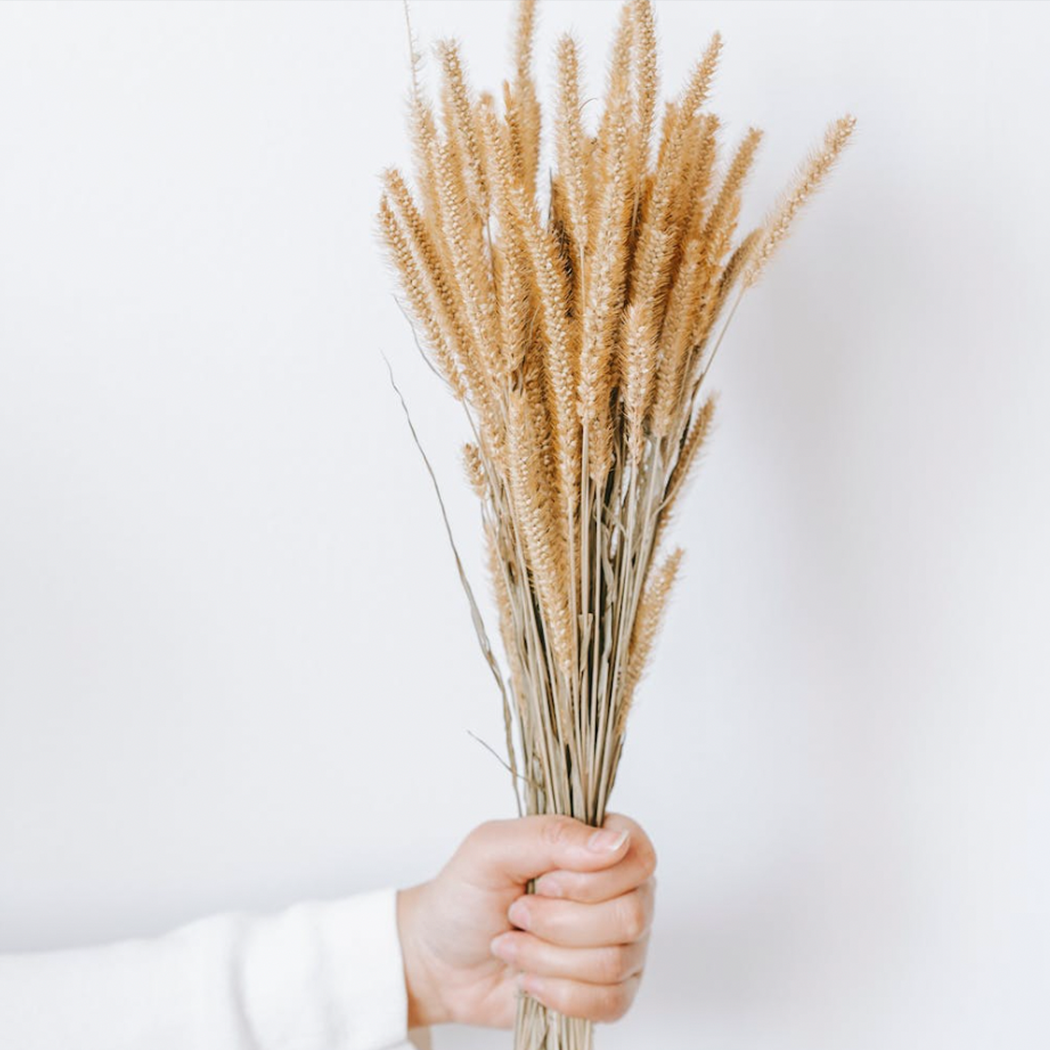 Pink Wheat Flower Bouquet