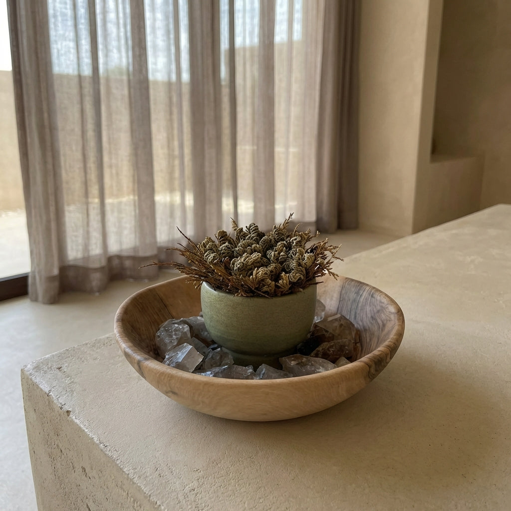 Succulent Planter: Midnight Sky