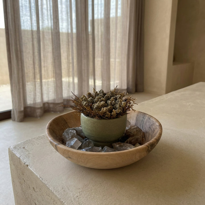 Succulent Planter: Midnight Sky