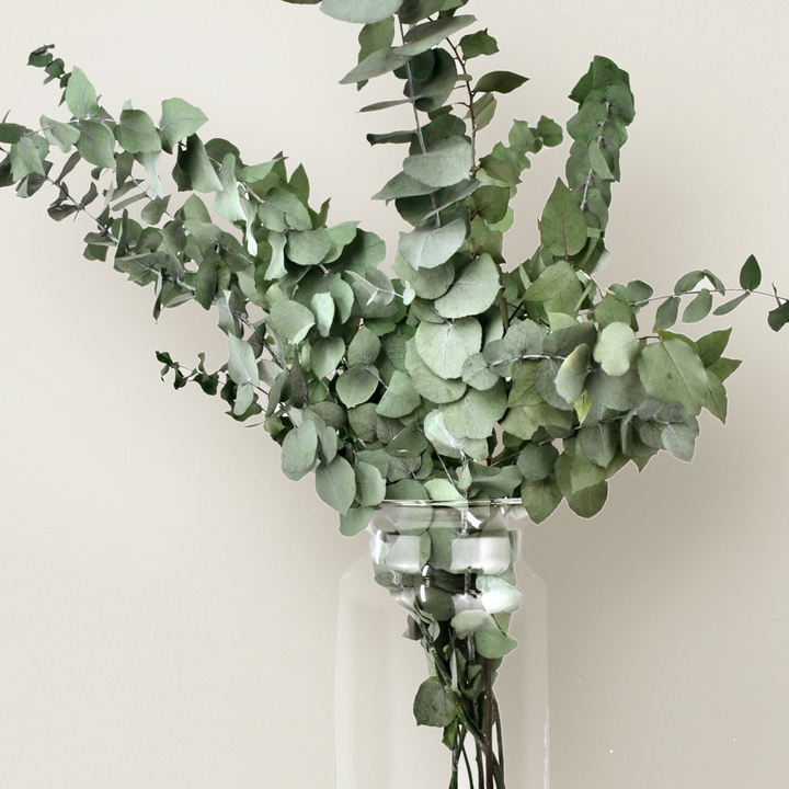 Eucalyptus Flower Preserved Bouquet