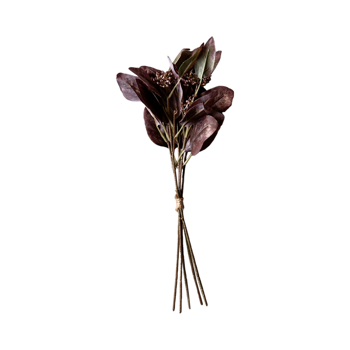 Eucalyptus Ruby Flower Stem