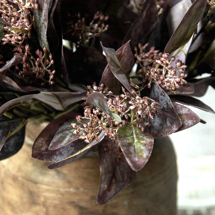 Eucalyptus Ruby Flower Stem